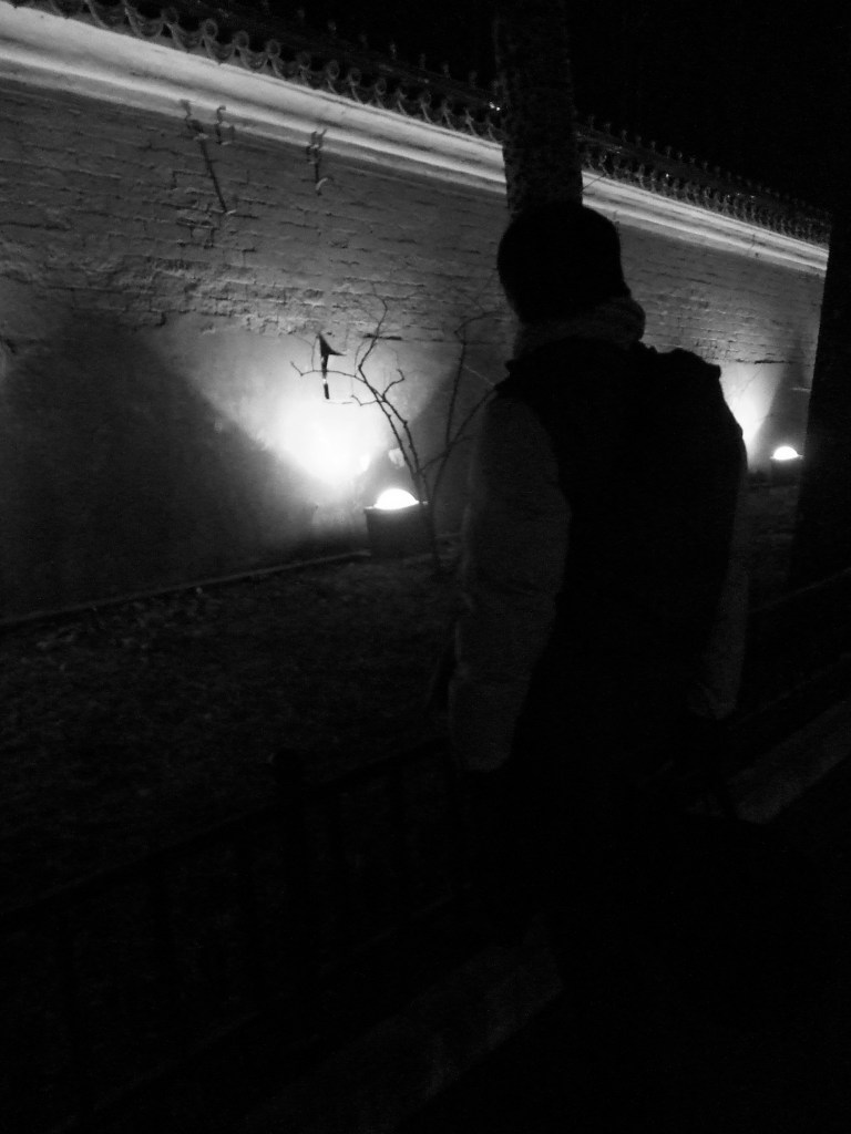 Chris Pop Composition